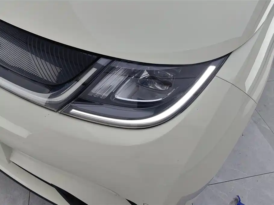 BYD dolphin