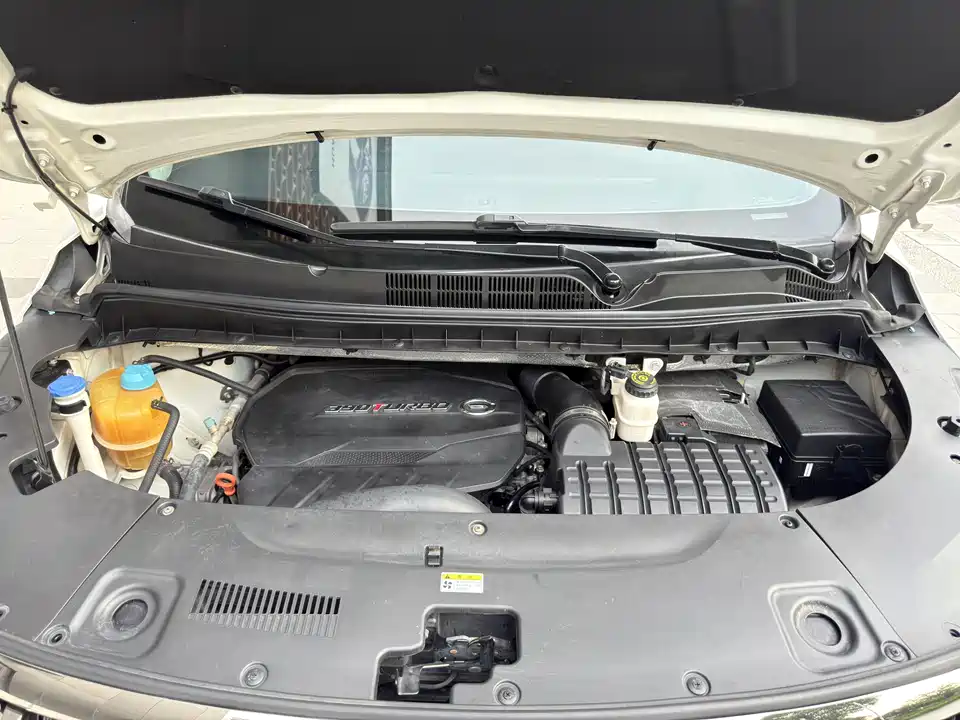 Trumpchi Trumpchi M8