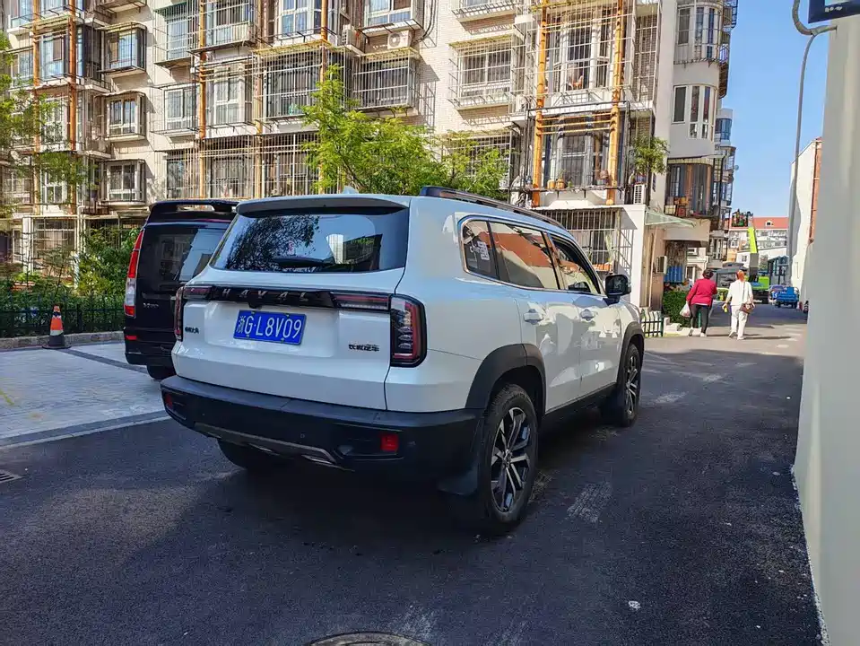 Haval Big dog