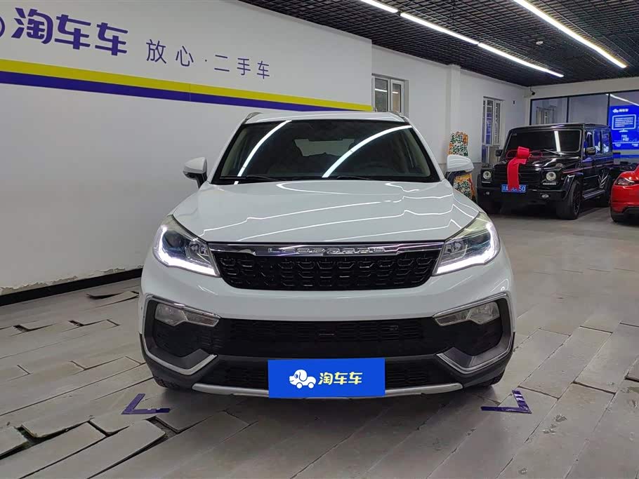 Leopaard Cheetah CS9