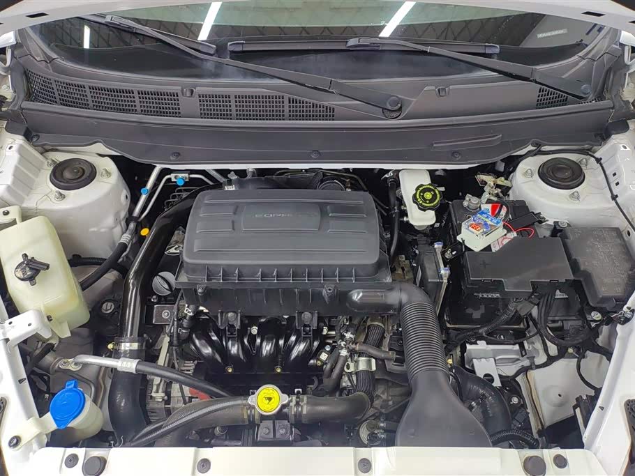 Leopaard Cheetah CS9