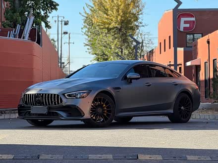 AMG GT 2019�� AMG GT 50 �����ܳ�