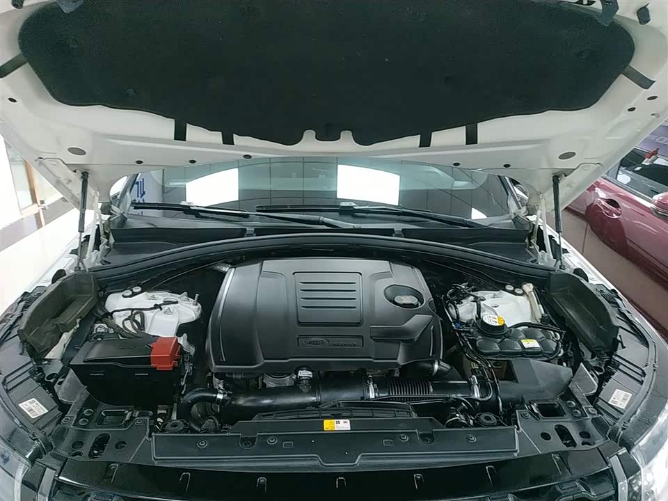 Land Rover Range Rover Star Pulse