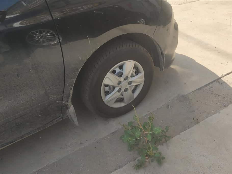 Forthing Lingzhi PLUS