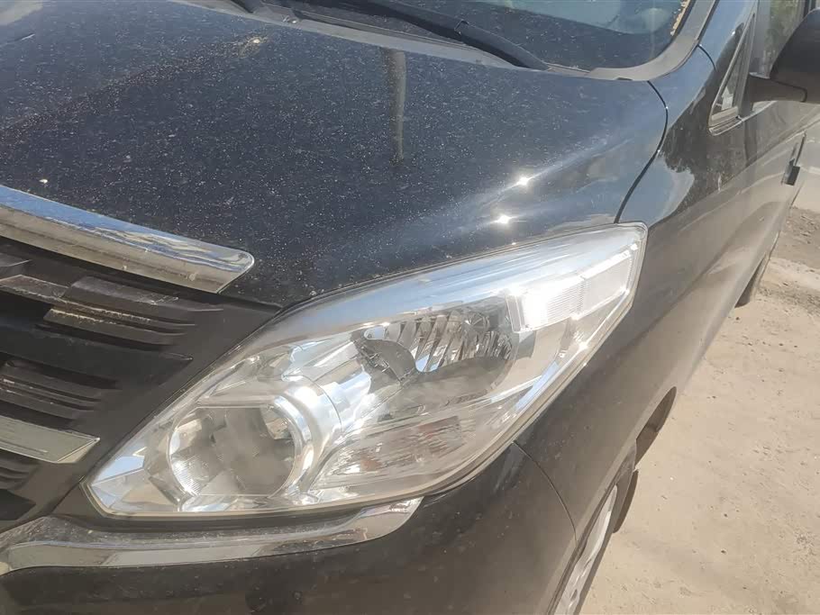 Forthing Lingzhi PLUS