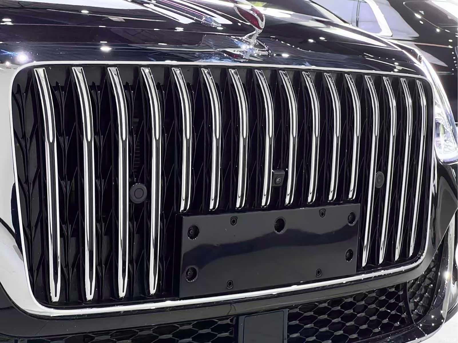 Hongqi Guoya, 2025 10
