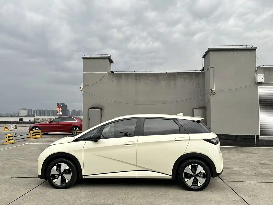 BYD dolphin BYD dolphin