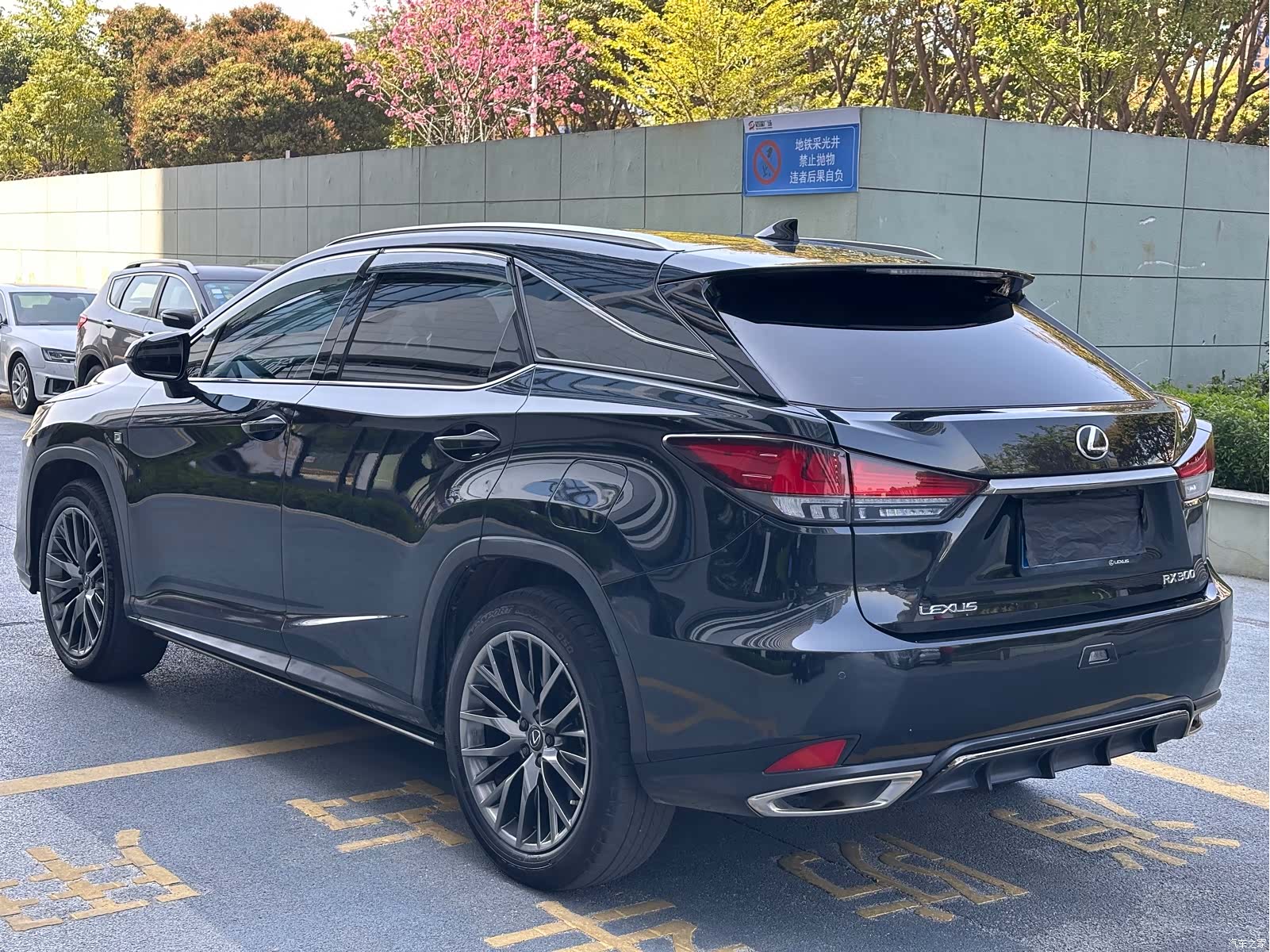 Lexus RX, 2021 4