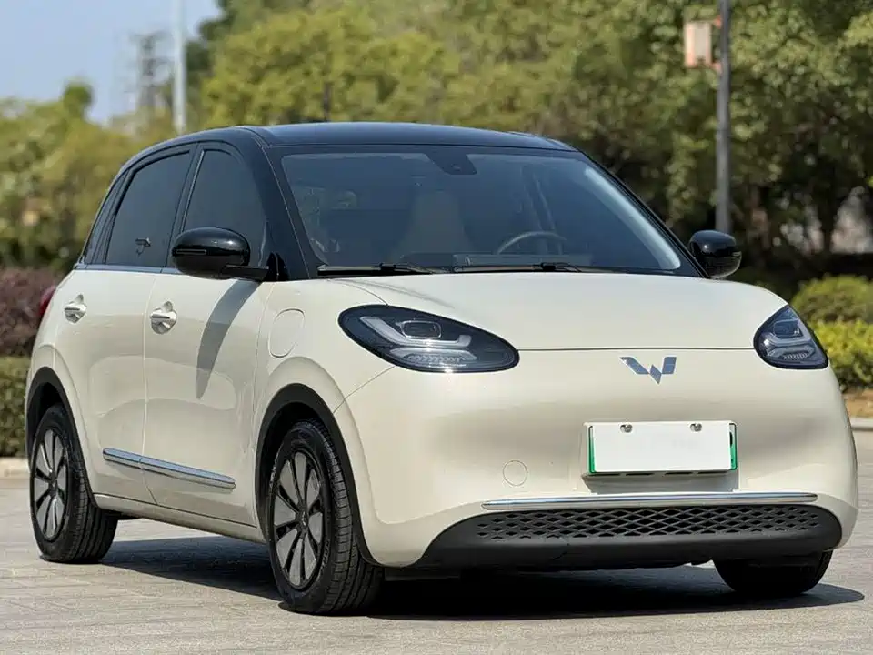 Wuling Wuling Bingguo