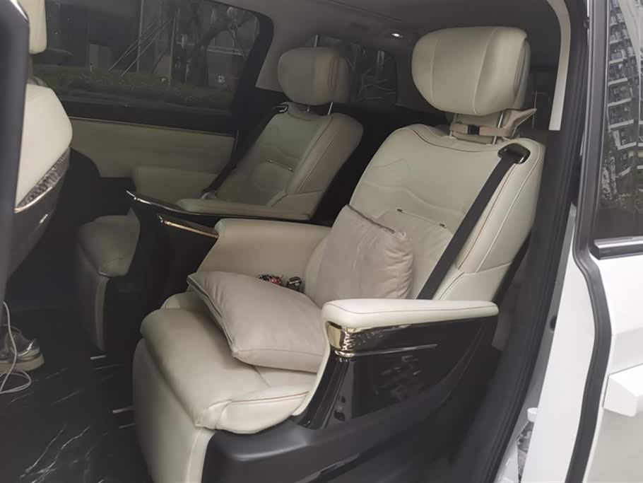 Trumpchi Trumpchi E9