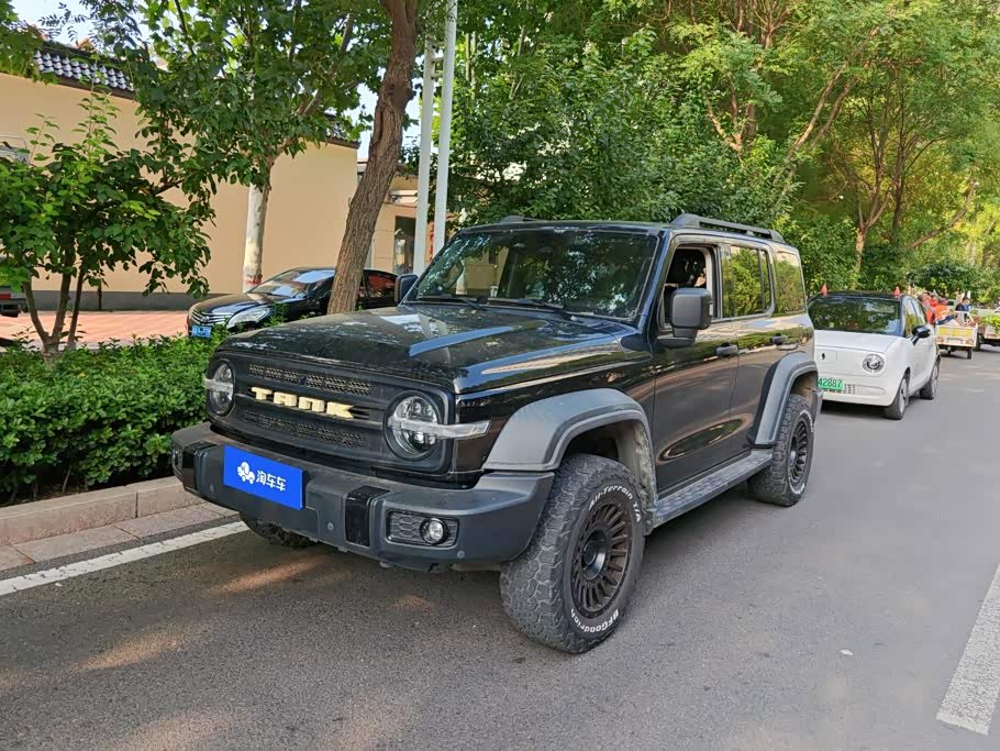 Tank 300