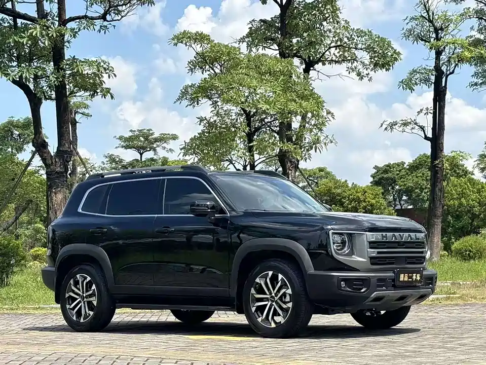 Haval Big dog