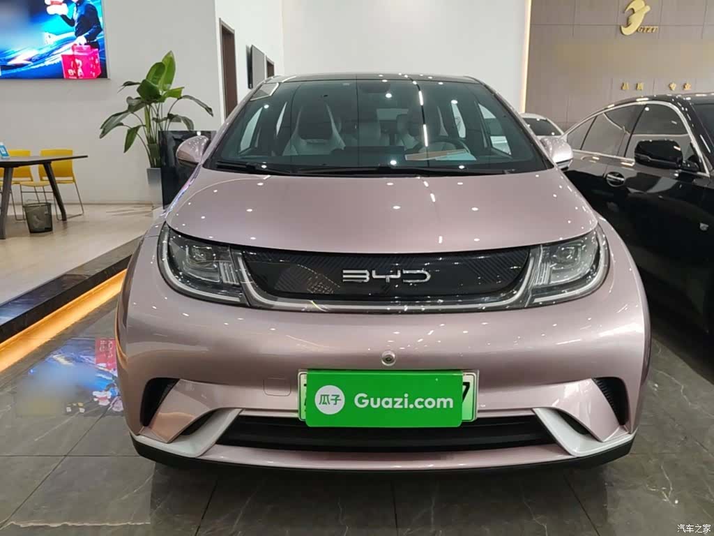 BYD Dolphin, 2022 3