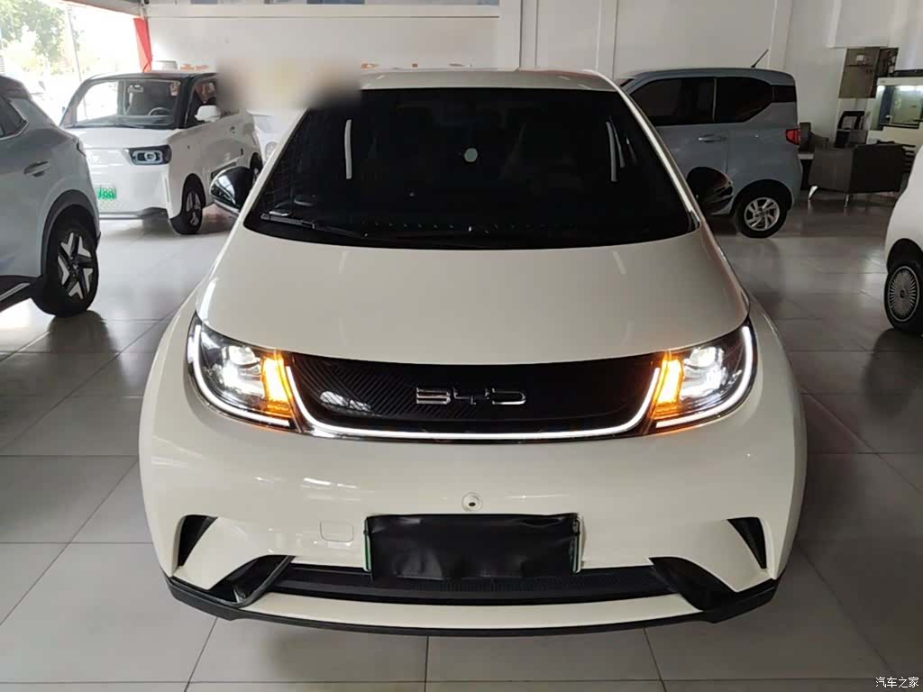 BYD Dolphin, 2023 3