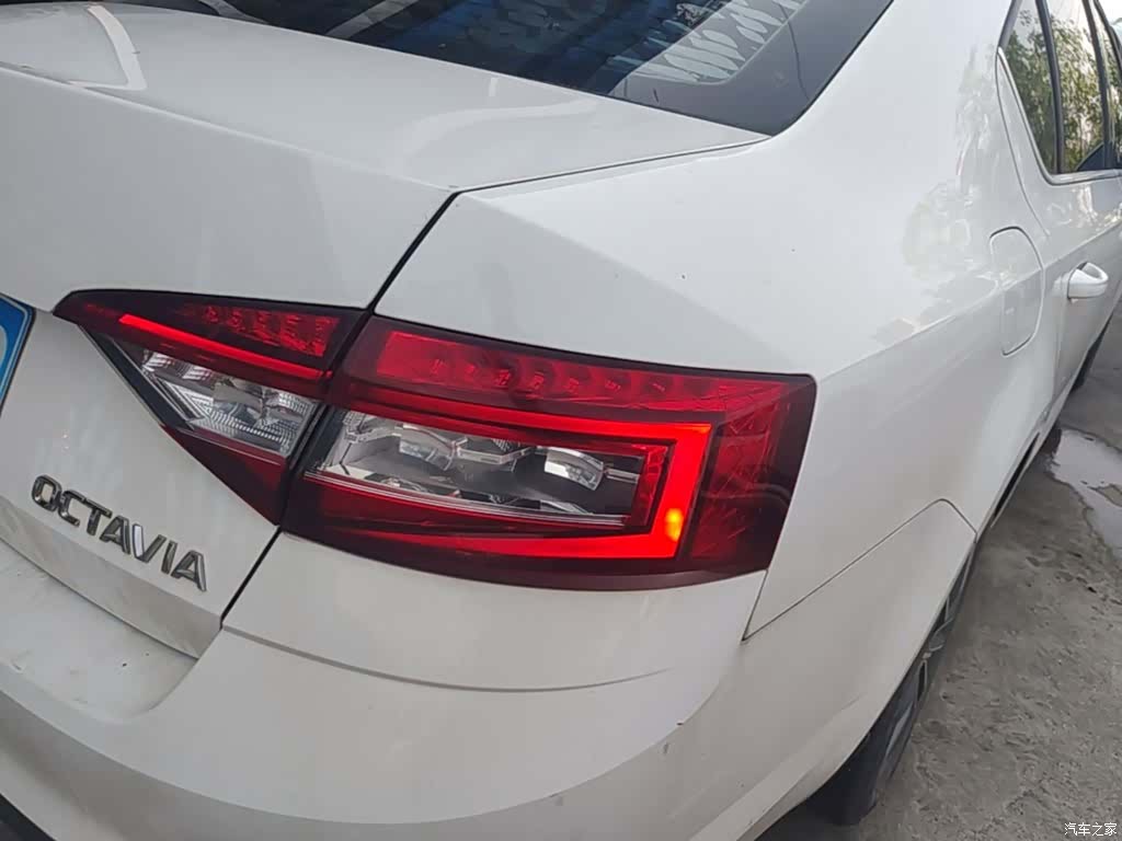 Skoda Octavia, 2020 8