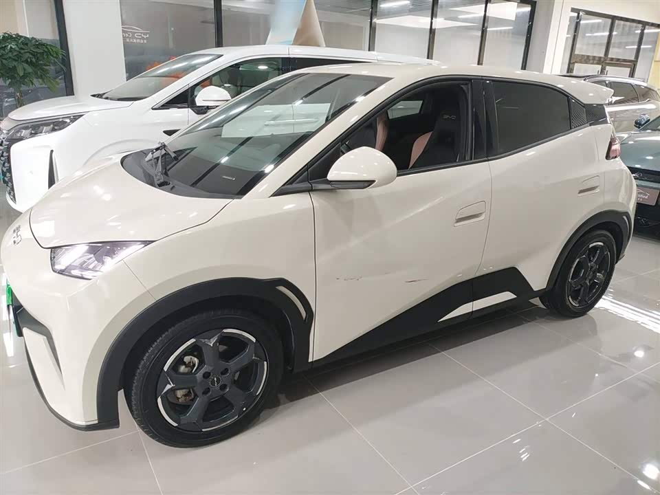 BYD Seagull