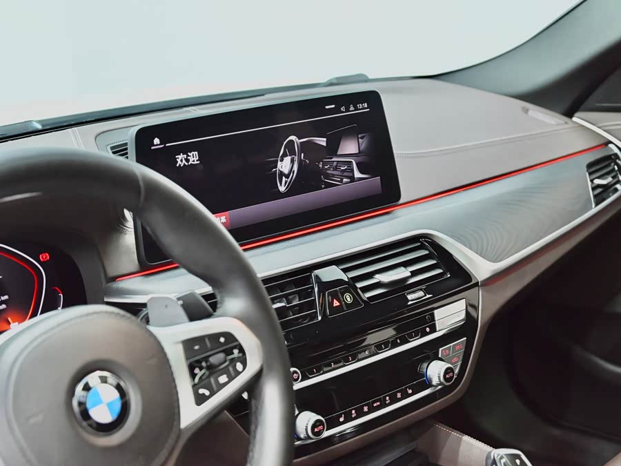 BMW 5 Series 2021, фото 19