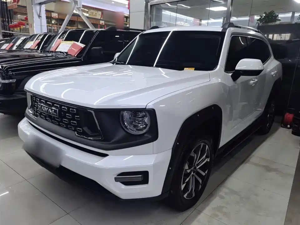 Haval Big Dog PLUS
