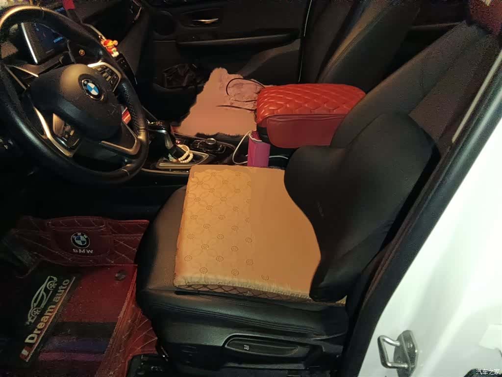 BMW 2 Series, 2019 8