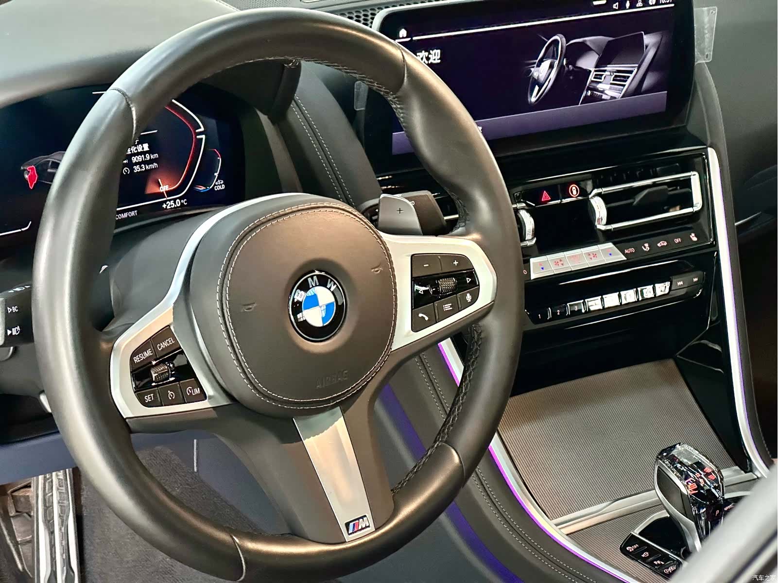 BMW 8 Series, 2024 12