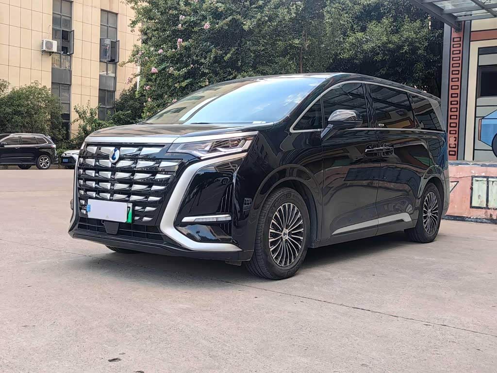 Denza D9