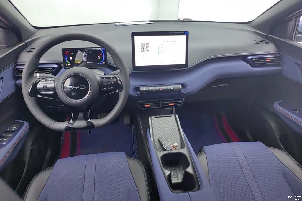 BYD Seagull, 2024 12