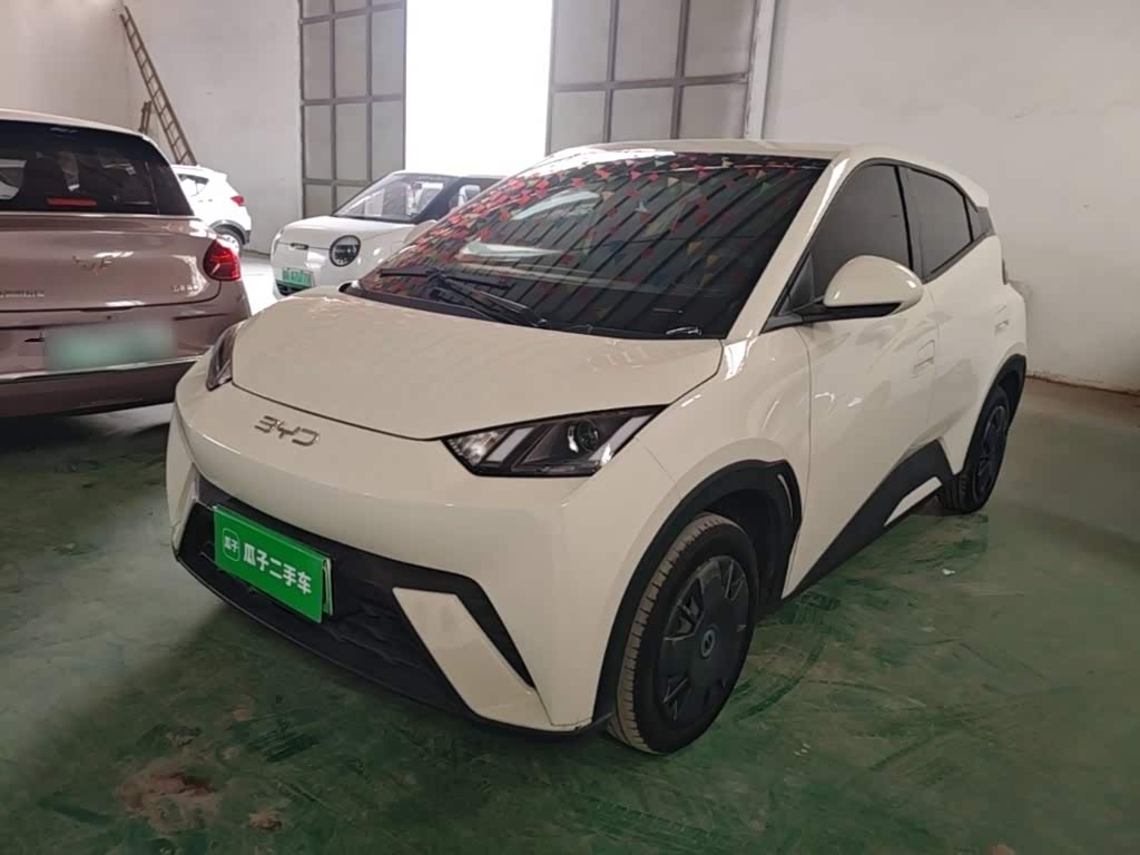 BYD Seagull