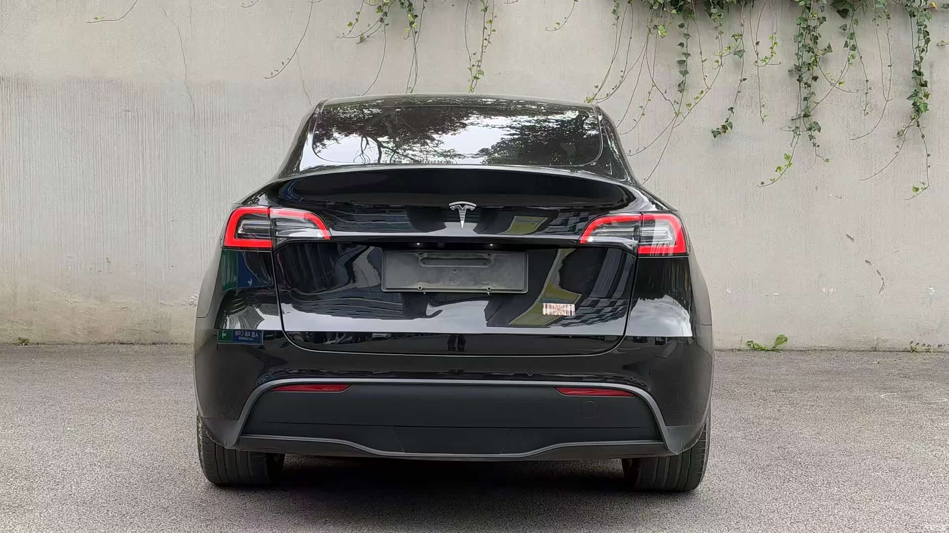 Tesla Model Y, 2021 все фото
