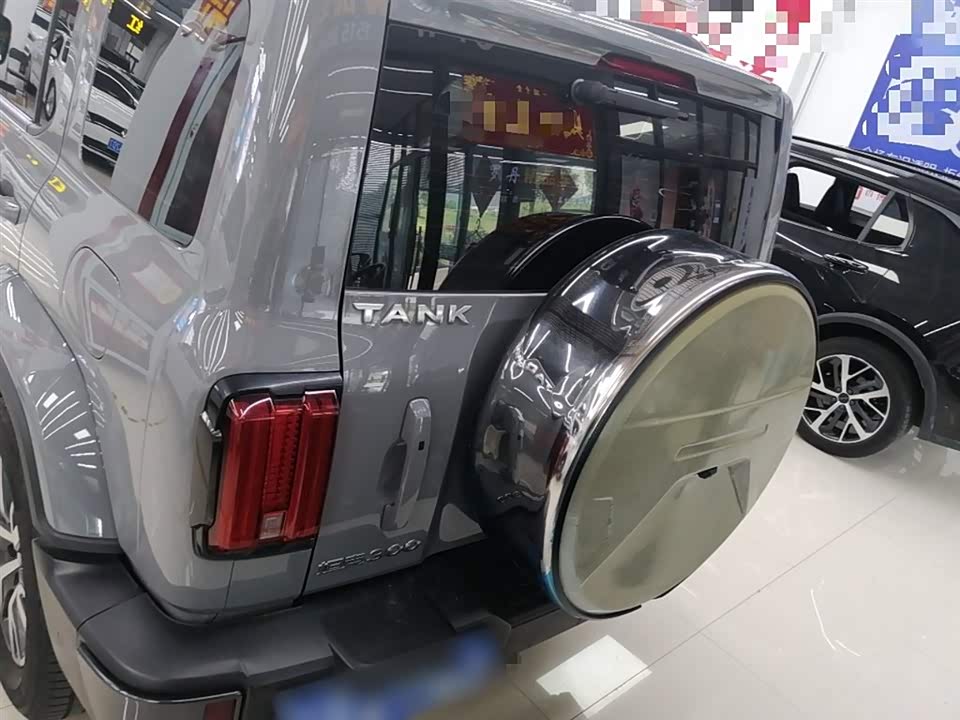 Tank 300