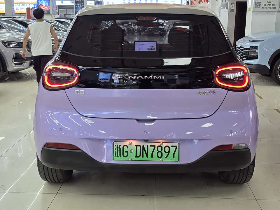 Dongfeng Nammi Nano 01