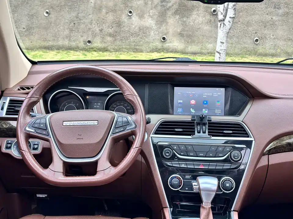 Leopaard Cheetah CS10