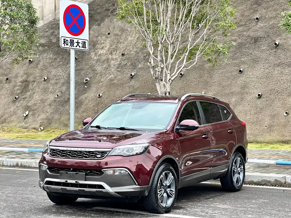 Leopaard Cheetah CS10