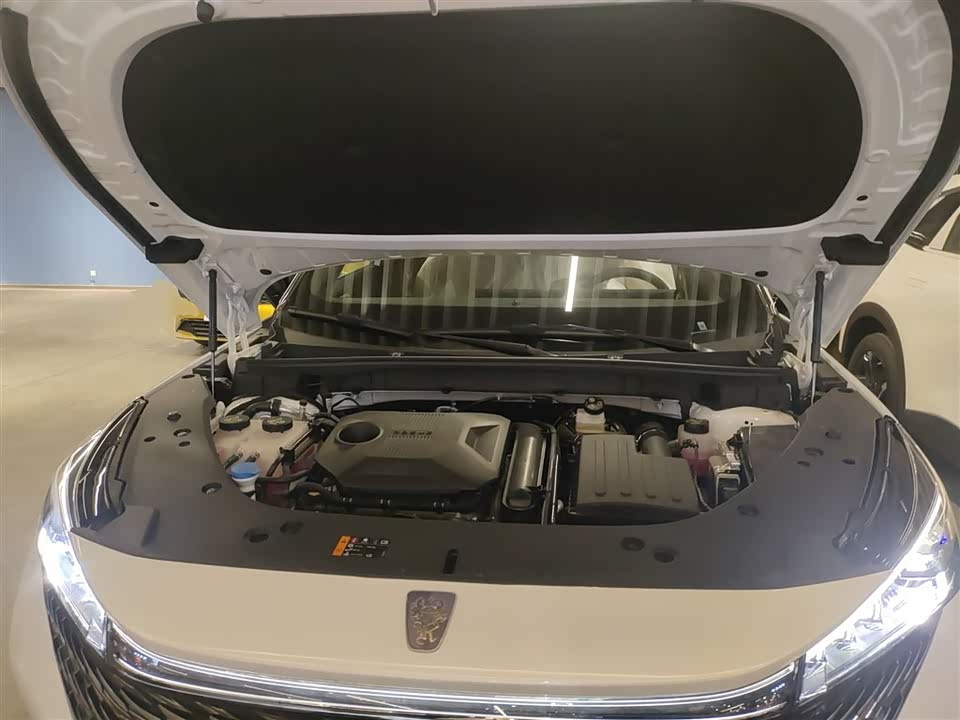 Roewe RX5 New energy