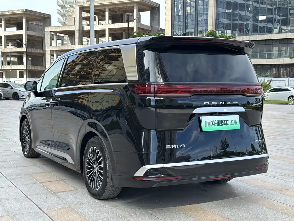 Denza D9