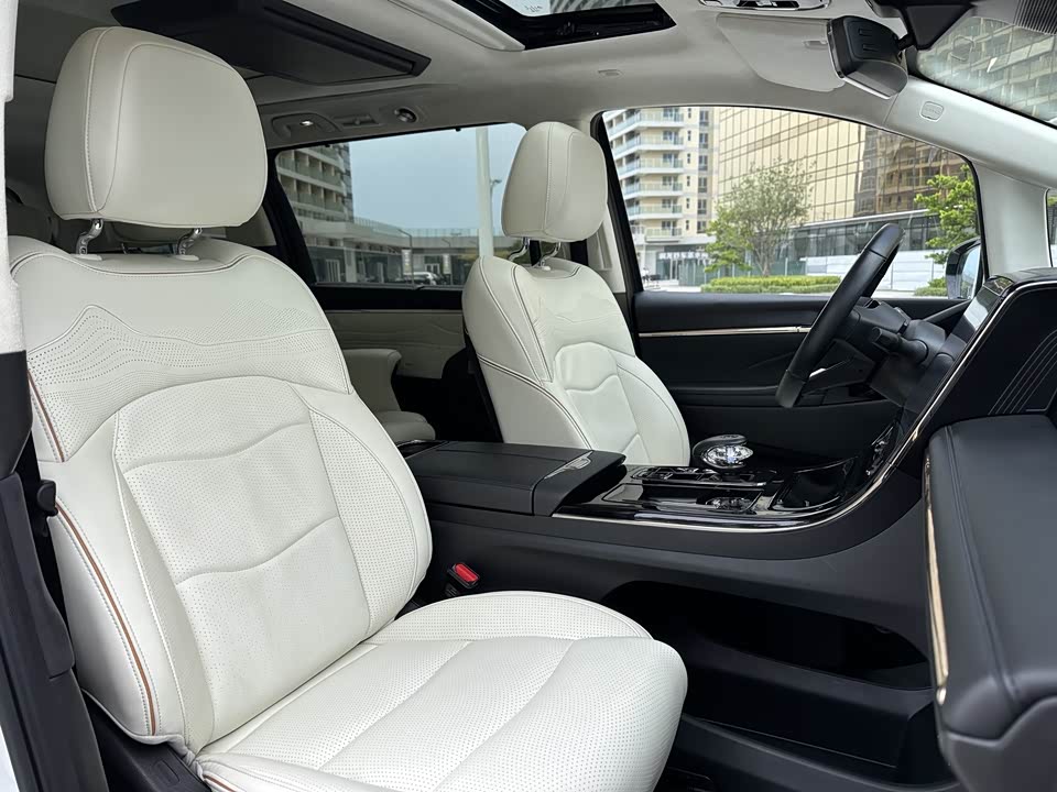 Trumpchi Trumpchi E9