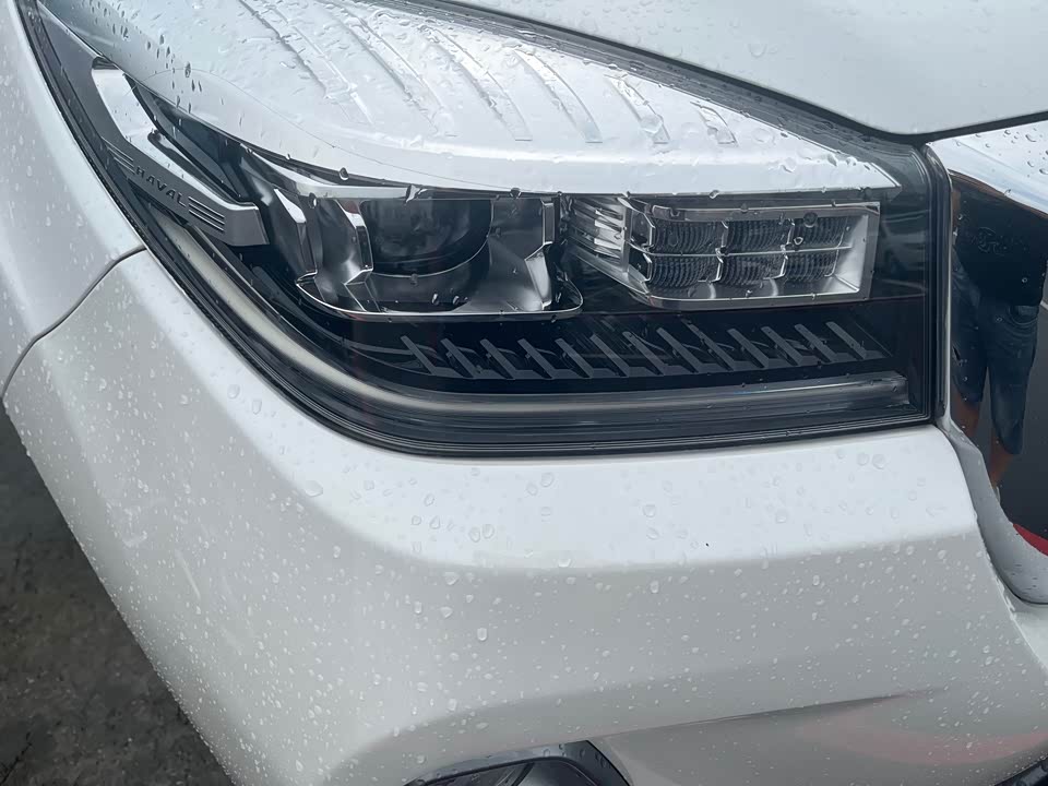 Haval H9