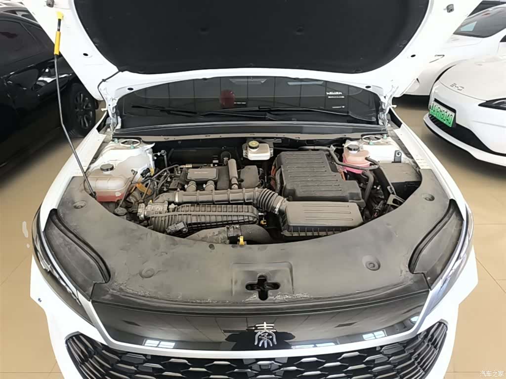 BYD Qin, 2025 20