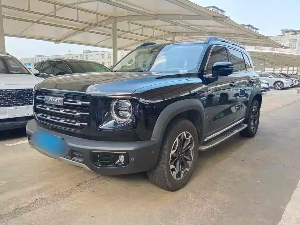 Haval Big dog