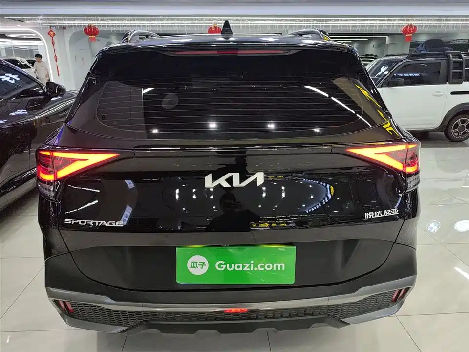 Kia Lion Platinum expands the world