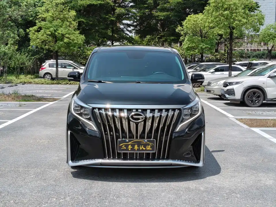 Trumpchi Trumpchi M8