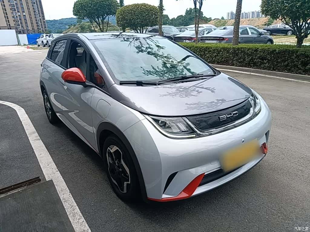 BYD Dolphin, 2022 4