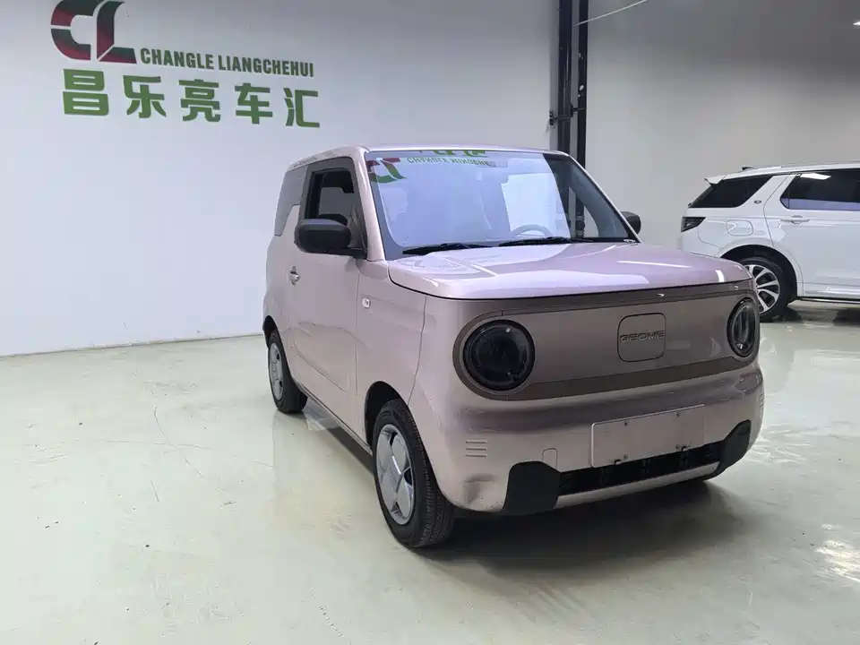 Geely Galaxy panda