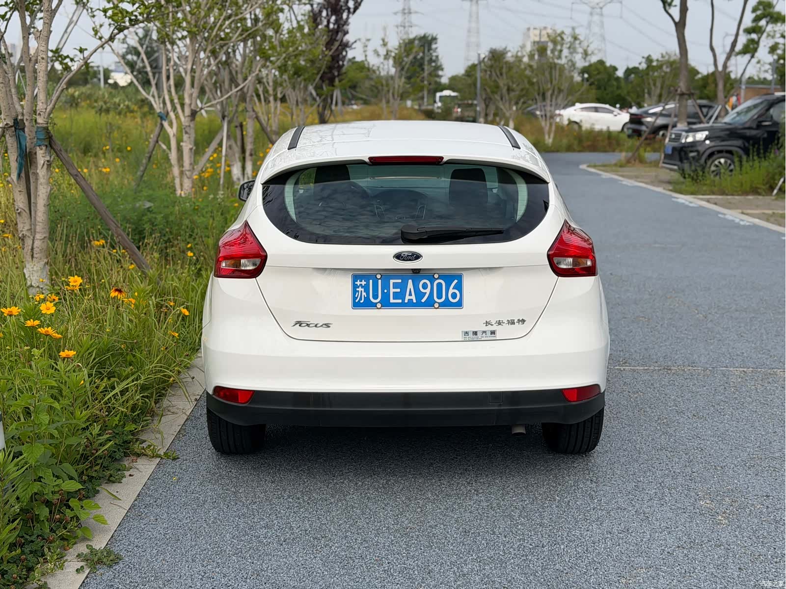 Ford Focus, 2019 3