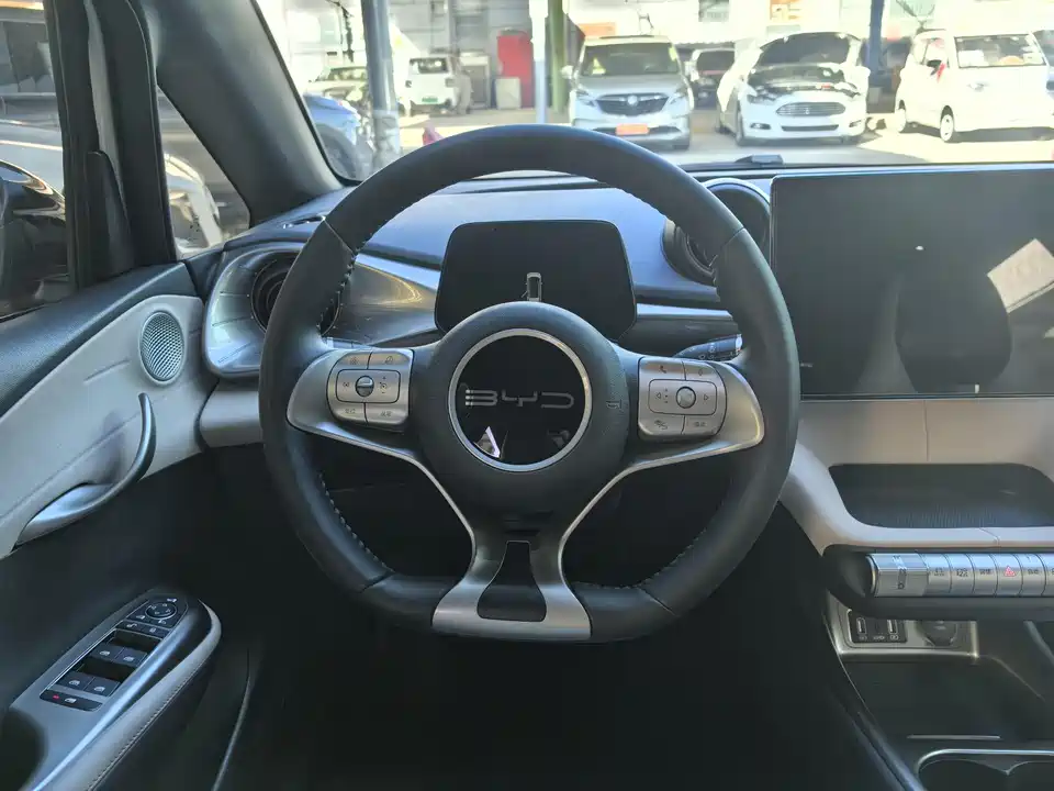 BYD dolphin