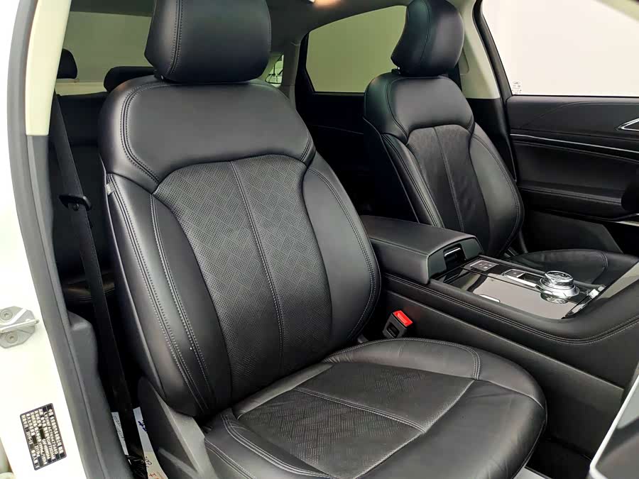 Ford Taurus 2020, фото 7