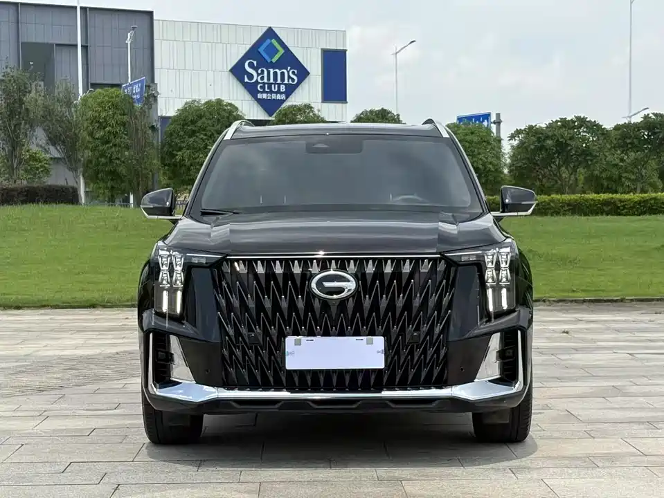 Trumpchi Trumpchi GS8