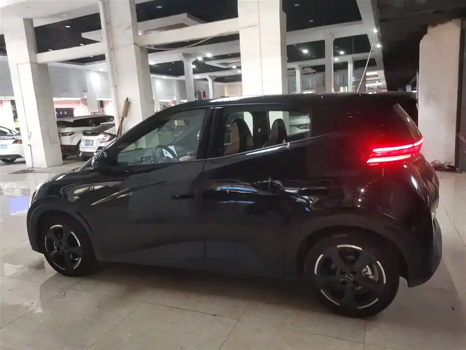 BYD Seagull