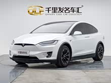 Model X 2020�� ������������