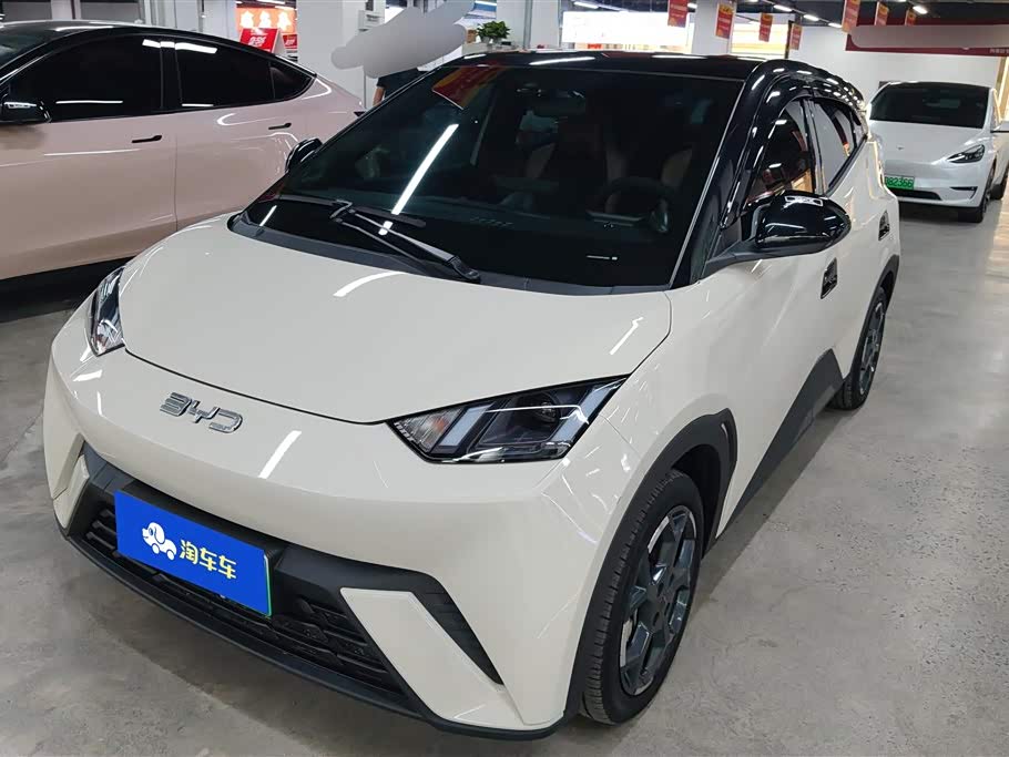 BYD Seagull