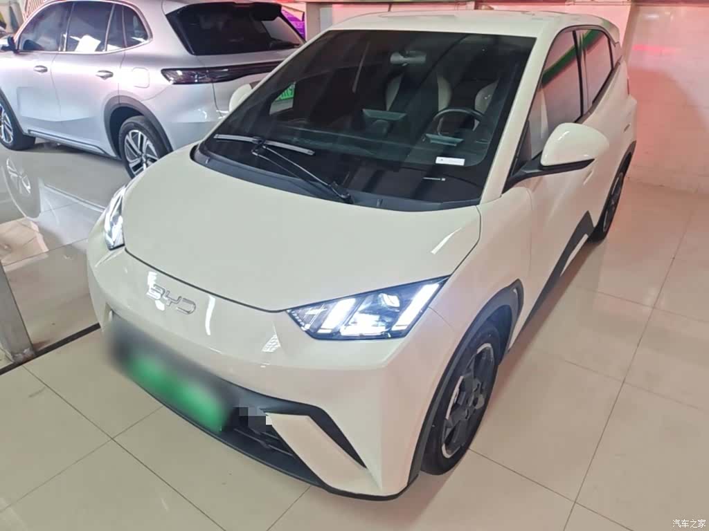 BYD Seagull, 2024 1